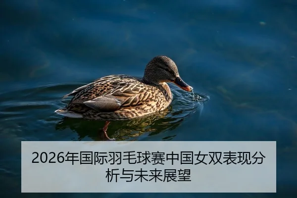 2026年国际羽毛球赛中国女双表现分析与未来展望
