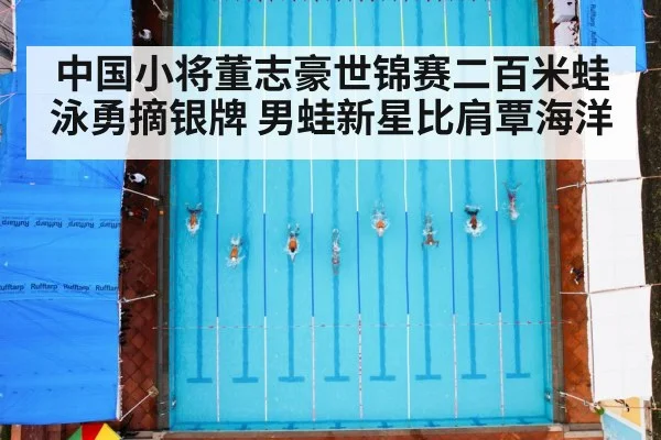 中国小将董志豪世锦赛二百米蛙泳勇摘银牌 男蛙新星比肩覃海洋