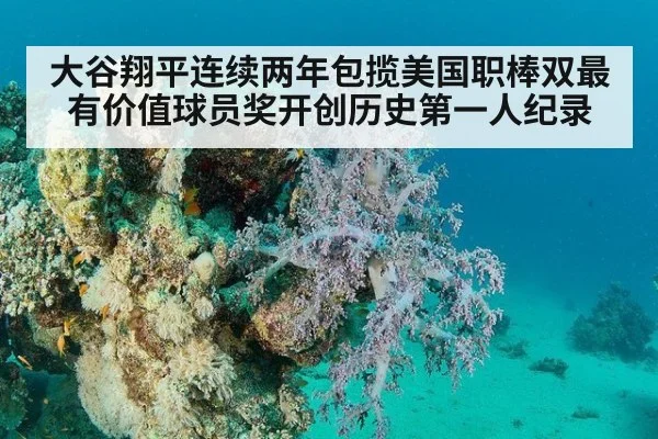 大谷翔平连续两年包揽美国职棒双最有价值球员奖开创历史第一人纪录
